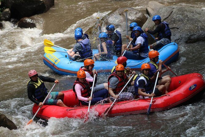 Green Bali Rafting Ticket And Transfer - On the River: Your Ayung River Rafting Run (and What to Expect)
