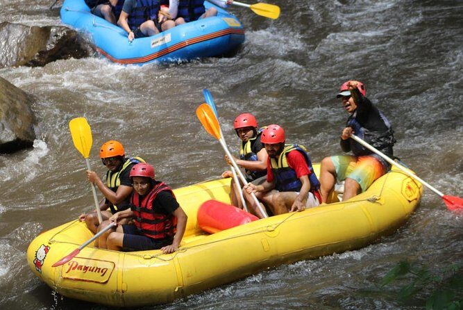 Green Bali Rafting Ticket And Transfer - Indonesian Lunch at the Finish Point: Real Relief After the Water