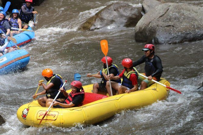 Green Bali Rafting Ticket And Transfer - Who This Tour Fits Best (and Who Might Skip It)