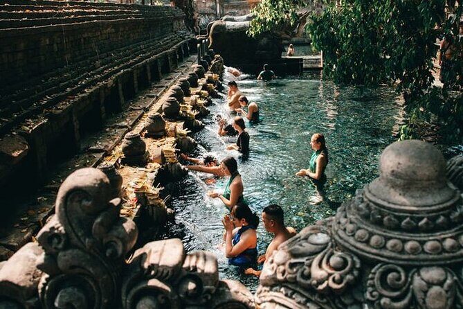 Half Day Private Tour in Ubud - Price and logistics: what $57 covers (and the value of included tickets)
