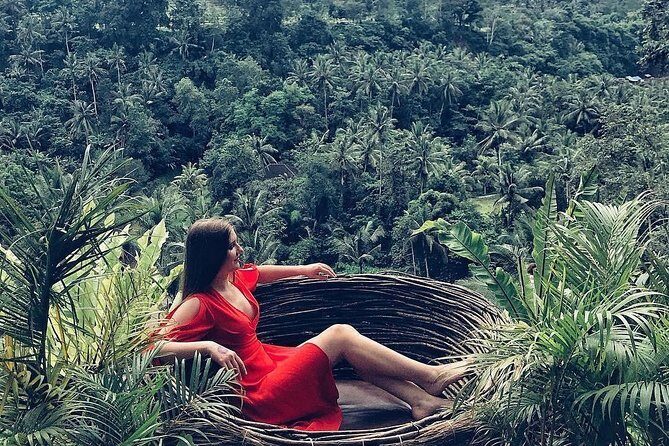 Individual Bali Day Trip with Private Driver and Free WiFi - Inland switch: Monkey Forest, Ubud art, and the rice terrace moment