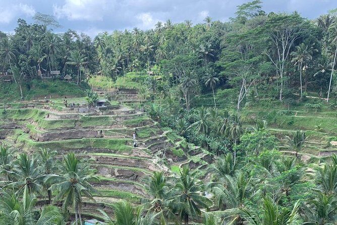 Individual Bali Day Trip with Private Driver and Free WiFi - Coastal culture detour: Sanur mornings, Tanah Lot, and Batu Bolong