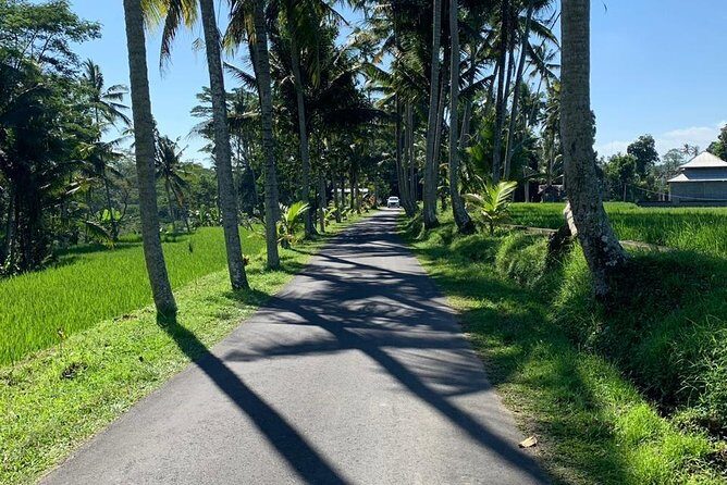 Individual Bali Day Trip with Private Driver and Free WiFi - Central-to-north viewpoint run: Jatiluwih, Bratan, Handara, and lakes