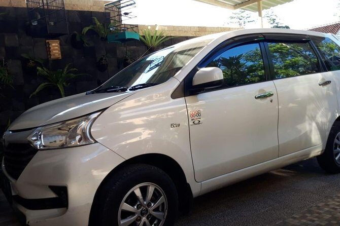 Individual Bali Day Trip with Private Driver and Free WiFi - East Bali temples and water gardens near Mount Agung