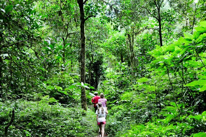 Jungle Trekking and Tamblingan Lake Canoeing in Bali Rainforest - Small drawbacks to consider before you book