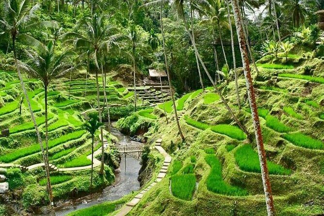 Magic Of Ubud Temple Swing And Waterfall Private Guided Tour - Happy Swing Bali: the photo part you can control