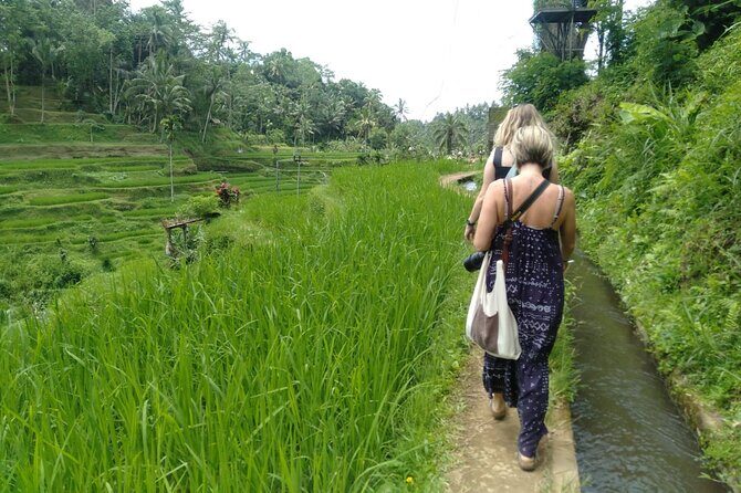 Magic Of Ubud Temple Swing And Waterfall Private Guided Tour - Price and tickets: where the real value is (and where confusion can happen)