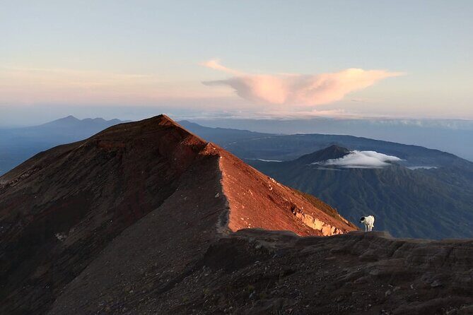 Mount Batur Sunrise Trekking, Hot Springs & Lunch at Restaurant - Guide quality and the human touch at sunrise