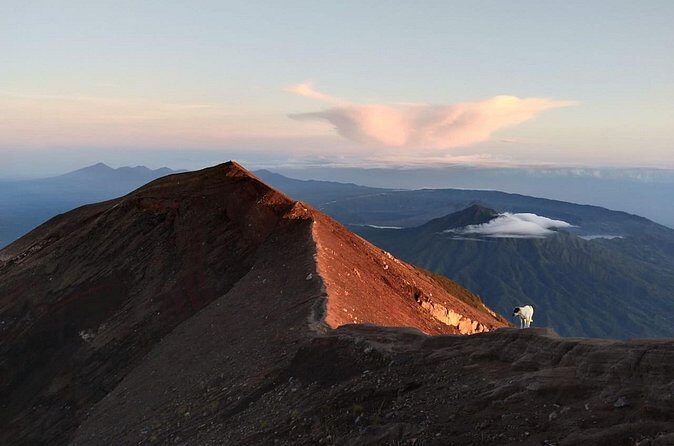 Mount Batur Sunrise Trekking, Hot Springs & Lunch at Restaurant - Who this tour fits best