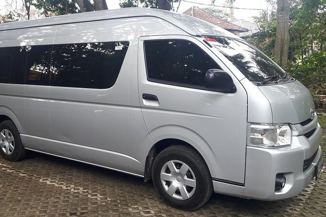 Ngurah Rai International Airport Private Arrival Transfer - Included perks and practical details that make arrival smoother