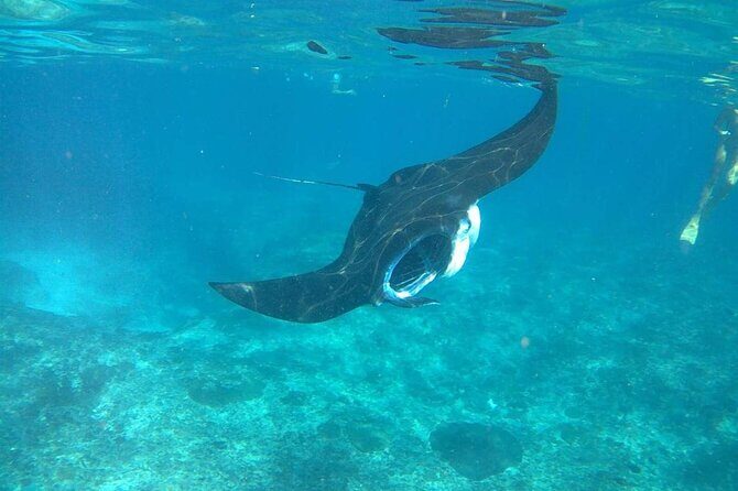 No:#1. Penida Island Tour And Snorkeling With Manta - Lunch, Timing, and Energy Management for a 12.5-Hour Tour
