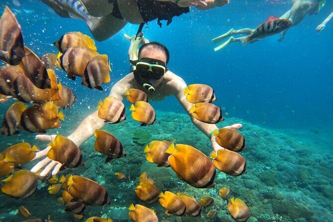 No:#1. Penida Island Tour And Snorkeling With Manta - Price Worth It: $67.75 for Boat, Gear, and Local Handling