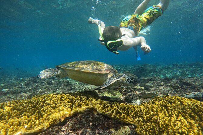 No:#1. Penida Island Tour And Snorkeling With Manta - Best Fit: Who This Manta Snorkel Tour Suits