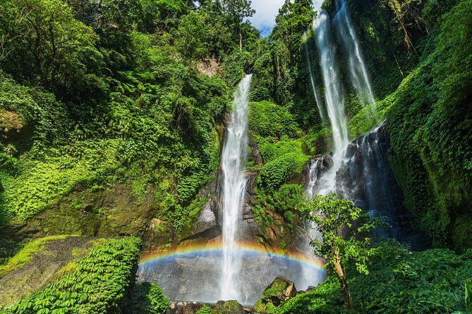North Bali: Sekumpul Waterfalls and Ulun Danu Temple Tour - Who this tour suits best (and who should think twice)