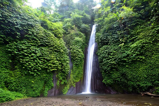 North Bali Tour - Visiting Rice Terrace, Lake, Waterfall, Temple and Hot Spring - A private North Bali day from your doorstep