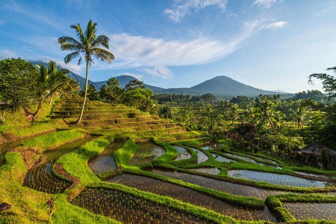 Northern Bali Tour - Private Full Day Tour - All Inclusive - Taman Ayun Temple: the royal water temple in Mengwi