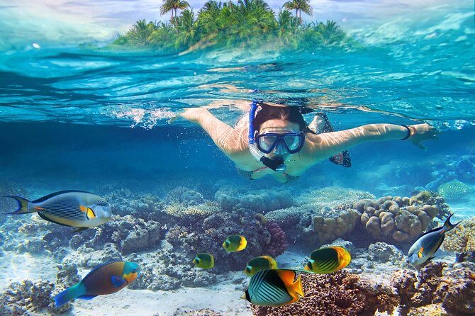 Nusa Lembongan Island: Snorkeling & Mangrove Forest Day Tour - Key highlights to know before you go