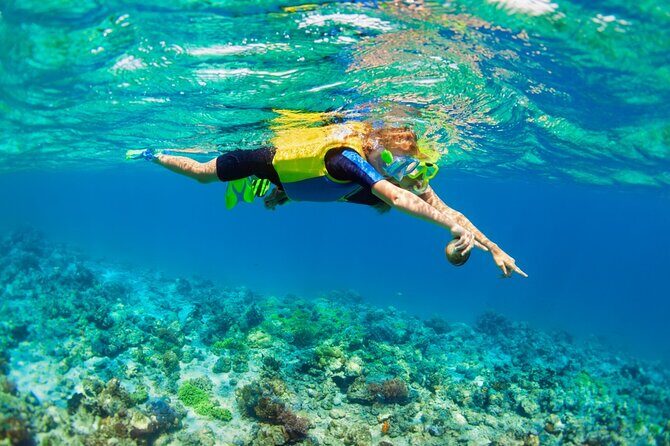 Nusa Lembongan Island: Snorkeling & Mangrove Forest Day Tour - Getting to Nusa Lembongan: the smooth speedboat + transfer rhythm
