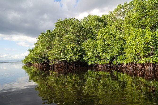 Nusa Lembongan Island: Snorkeling & Mangrove Forest Day Tour - Mangrove forest boat tour: the quieter side of Lembongan