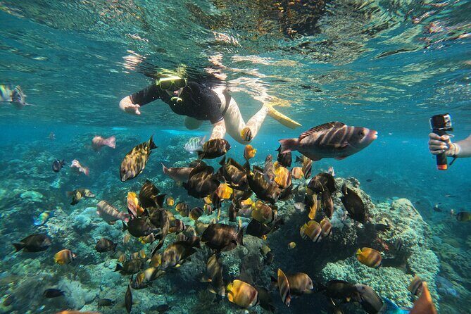 Nusa-Penida customize Tour - All inclusive - West vs east vs mixed day: customization meets time pressure