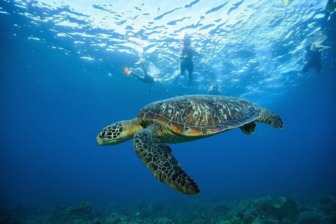 Nusa Penida day trip: boat, 4 snorkeling, Manta rays & Land tour - Lunch on Nusa Penida with an Infinity Pool View