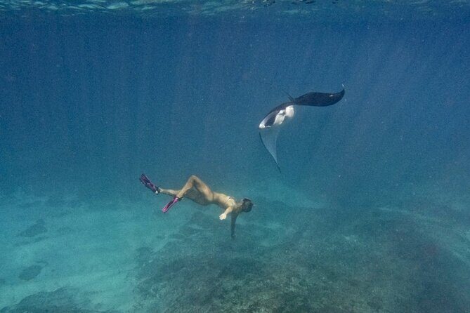 Nusa Penida day trip: boat, 4 snorkeling, Manta rays & Land tour - Snorkeling on Nusa Lembongan: Mangrove Point Drift Snorkeling