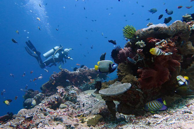Nusa Penida Day Trip for 3 dives - Safety First: Currents, Cold Water, and the 25-Session Requirement