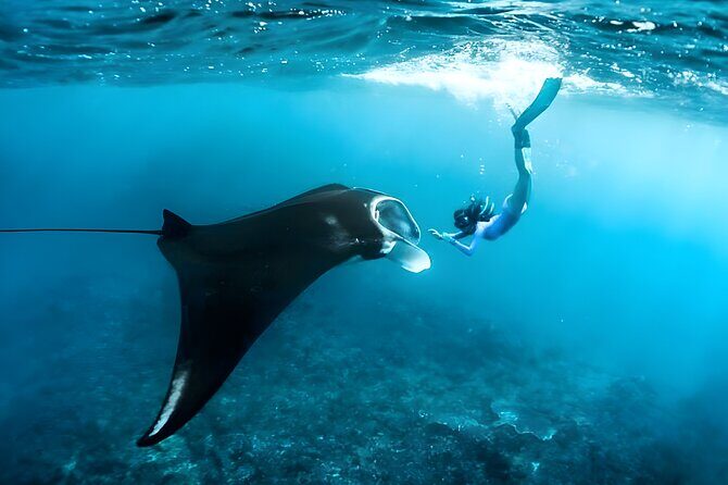 Nusa Penida Island Beach Tour With Snorkeling - Departure From Bali Island - Key things that make this Nusa Penida tour work