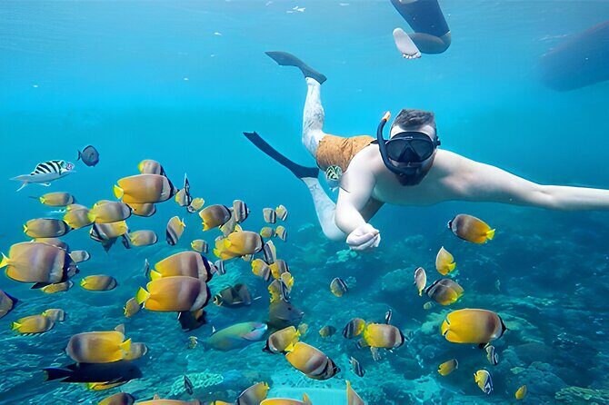 Nusa Penida Island Beach Tour With Snorkeling - Departure From Bali Island - Manta Bay: the big manta-ray hope (not a guarantee)