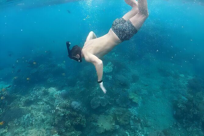 Nusa Penida Island Beach Tour With Snorkeling - Departure From Bali Island - Kelingking Beach viewpoint and the low-tide decision