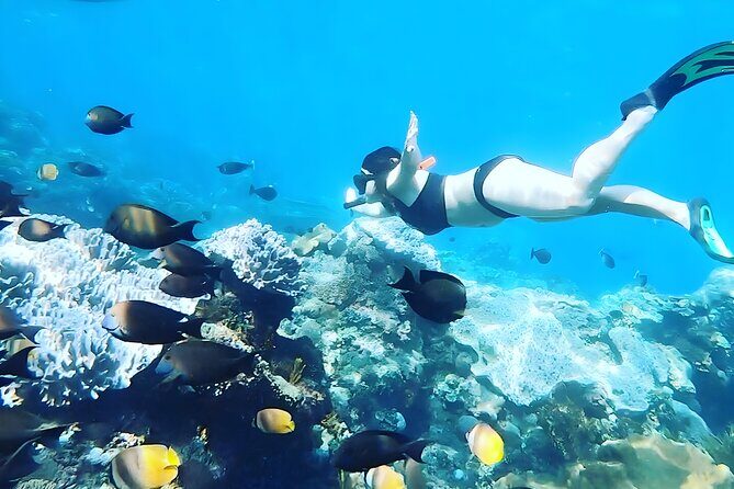 Nusa Penida Island Beach Tour With Snorkeling - Departure From Bali Island - Getting picked up in Bali and arriving on time