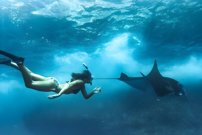 Nusa Penida Island Beach Tours with Snorkeling From Bali - Key Highlights You’ll Actually Care About