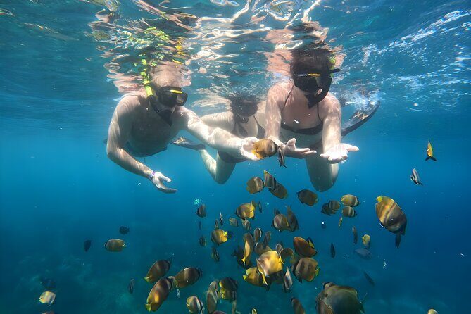 Nusa Penida Island Beach Tours with Snorkeling From Bali - Entering Nusa Penida’s West Coast: Why This Route Works