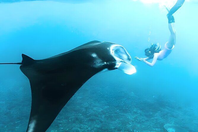 Nusa Penida Island Beach Tours with Snorkeling From Bali - Getting From Kuta to Penida: Private Driver, Public Boat Reality