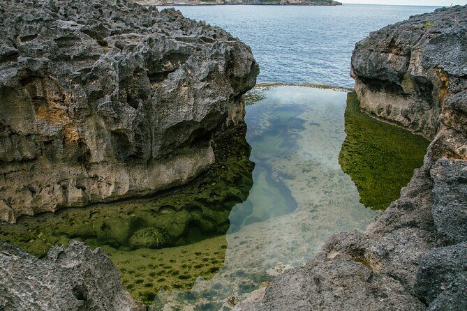 Nusa Penida One Day Trip to Instagrammable Spot by Penidago - Kelingking Beach: the iconic cliff look with real time built in