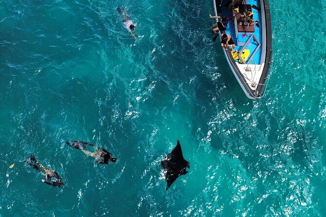Nusa Penida Private Snorkeling and West Tour Start from Bali - Key highlights to expect on this Nusa Penida day