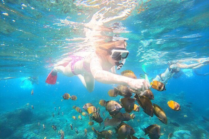 Nusa Penida Private Snorkeling and West Tour Start from Bali - Snorkeling on Penida’s west side: Manta Bay, Crystal Bay, Gamat Bay
