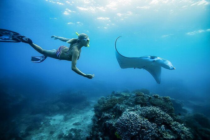 Nusa Penida Private Snorkeling and West Tour Start from Bali - Private vehicle and bottled-heat comfort (yes, air-conditioning matters)