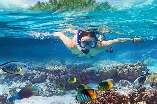 Nusa Penida West trip with snorkeling at 3 spot with Free Meals - Key Things to Know Before You Go
