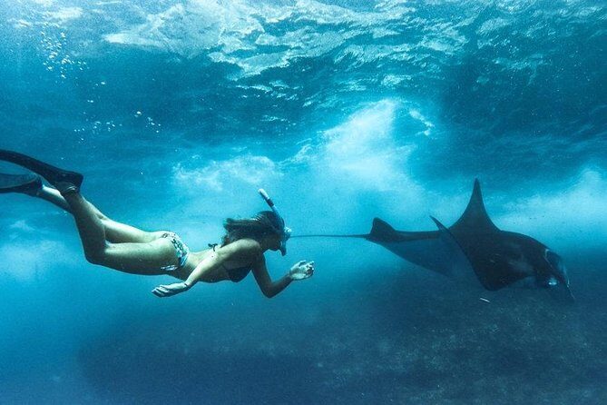 Nusa Penida West trip with snorkeling at 3 spot with Free Meals - Crystal Bay: Another Chance at Manta-Ray Energy and Photos