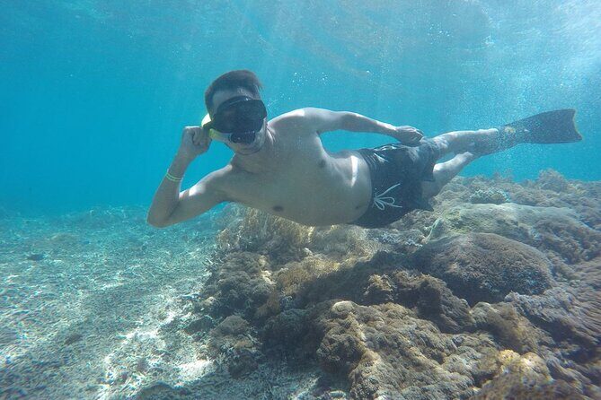 One Day Snorkeling Trip & West Tour Nusa Penida by Penidago - Price and value: what you’re paying for in real terms