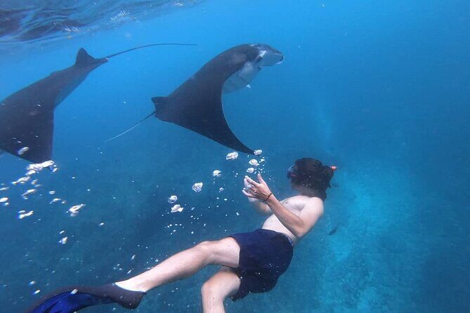 One Day Snorkeling Trip & West Tour Nusa Penida by Penidago - Guides and group size: what a small team changes