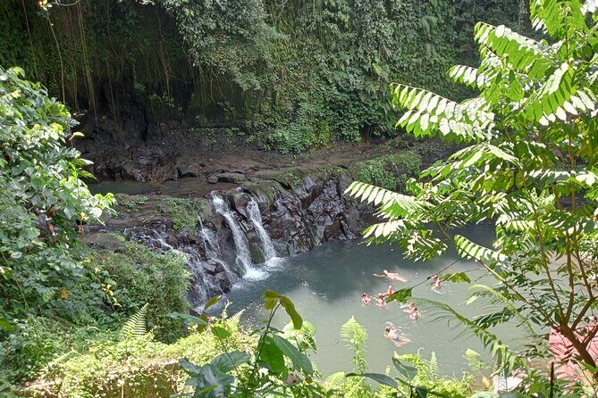 Penglipuran Village Waterfall Swing Private Guided Tour - The “private highlands loop” that saves you from Bali logistics
