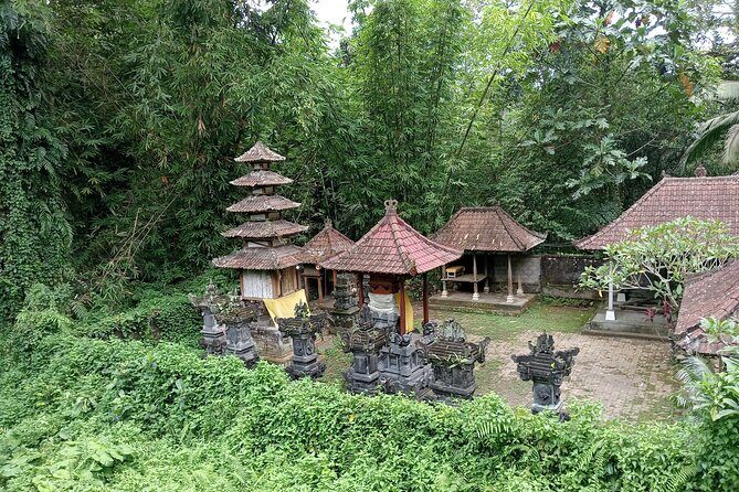 Penglipuran Village Waterfall Swing Private Guided Tour - Stop 4: Bali Swing at the Sidan Rice Terrace for the wow moment