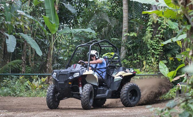 Premium White Water Rafting and Jungle Buggies in Bali - Ayung River Rafting: the Stair Workout and Class II–III Rapids
