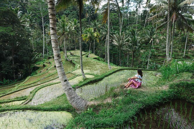 Private Bali Car Charter with Driver up to 6 People - Photo-stop Bali: Upside Down World and DMZ 3D Art Museum