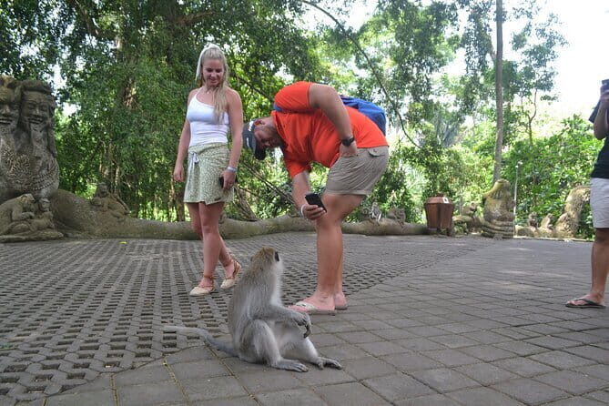 Private Bali Customized Tours - Kintamani Highland and Gunung Batur views from the caldera edge