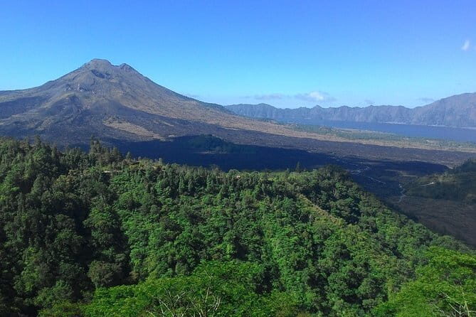 Private Bali Customized Tours - What you’re actually buying: comfort, local guidance, and car-time