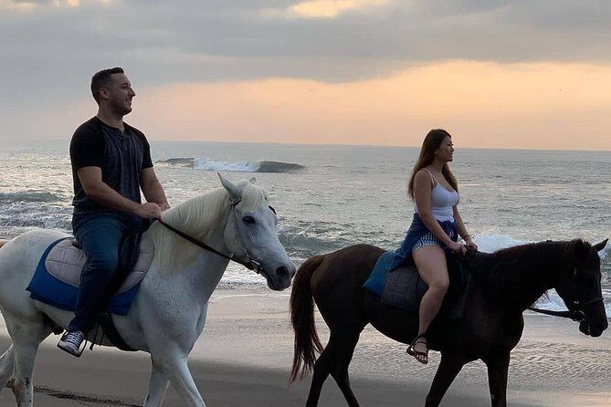 Private Bali Horse Riding In Seminyak Beach - Horse care and safety: what to watch for before you get on