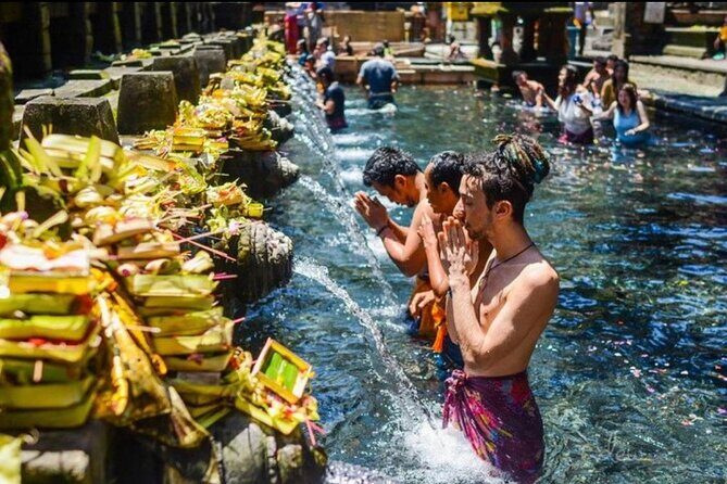 Private Bali Tour - All Inclusive - Stop 1: Sacred Monkey Forest Sanctuary and what to expect